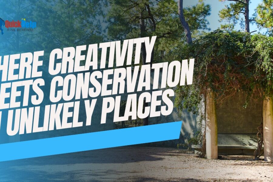 where creativity meets conservation in unlikely places