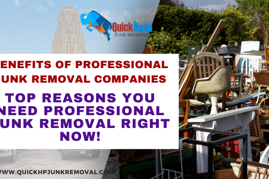 Top Reasons You Need Professional Junk Removal Right Now!