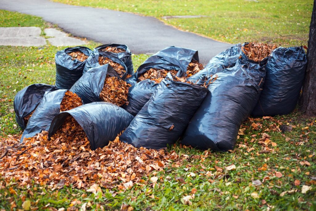 The Best Dumpster Rental Practices for Landscaping Projects in Buffalo