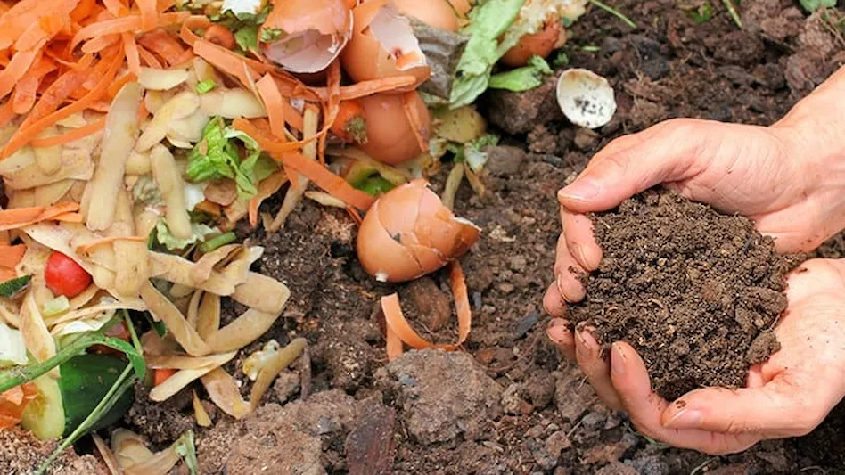 Dumpster Rental for Yard Waste: Keeping Your Tonawanda Garden Tidy