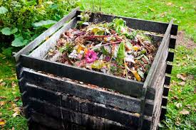 The Best Dumpster Rental Practices for Landscaping Projects in Buffalo