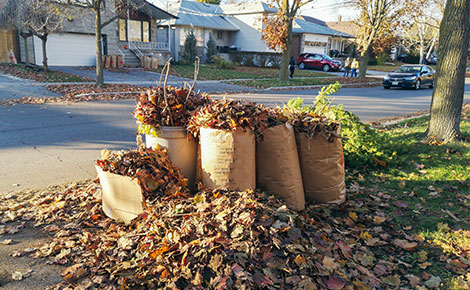 Dumpster Rental for Yard Waste: Keeping Your Tonawanda Garden Tidy