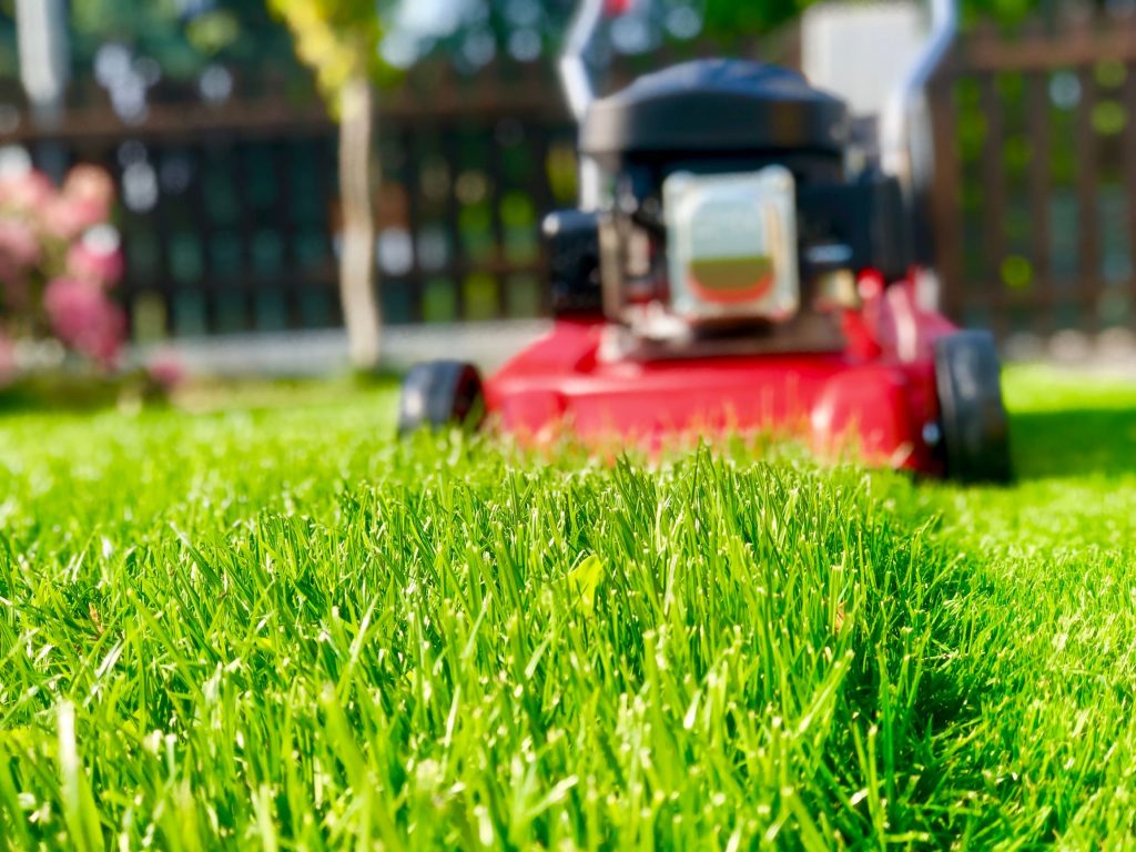 How to Reclaim Your Outdoor Space: Decluttering Tips for Buffalo Backyards