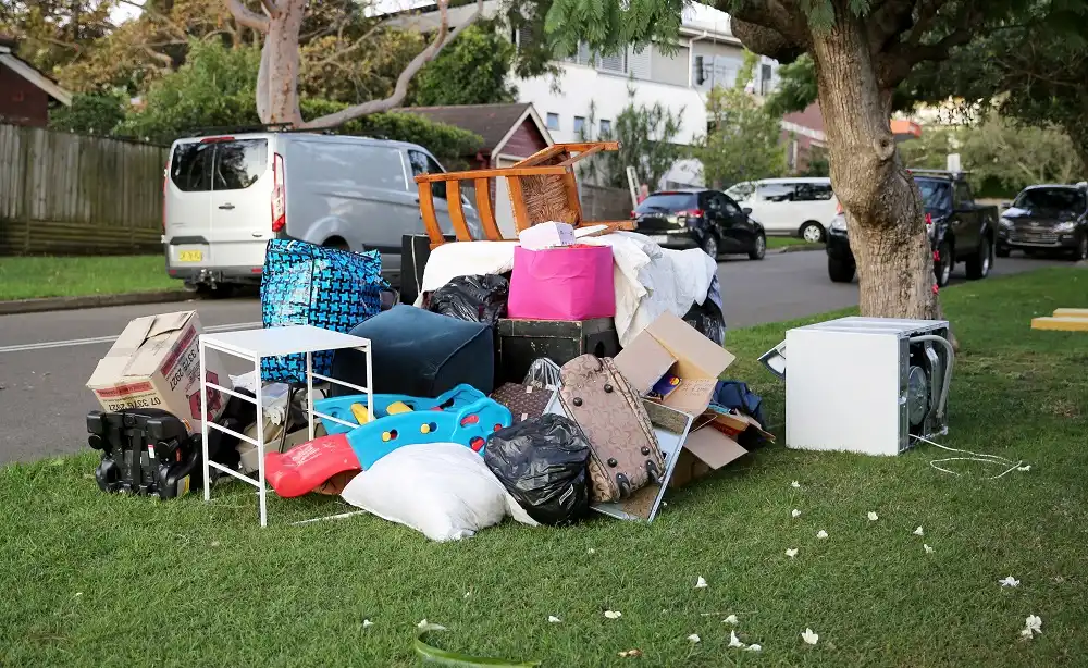 Dumpster Rentals for Seasonal Cleanups: How to Make the Most of Your Spring Cleaning in Buffalo