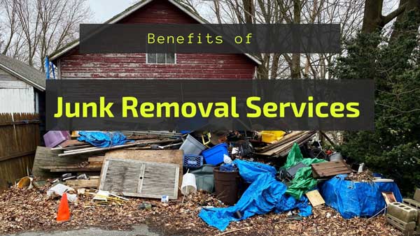 Dumpster Rentals for Seasonal Cleanups: How to Make the Most of Your Spring Cleaning in Buffalo