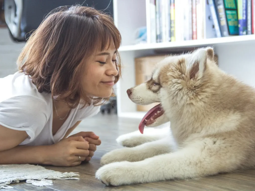 Decluttering Tips for Pet Owners: How to Keep Your Buffalo Home Clean and Organized