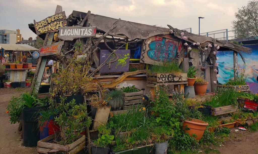 The Most Unusual Items Found During Junk Removal in Tonawanda