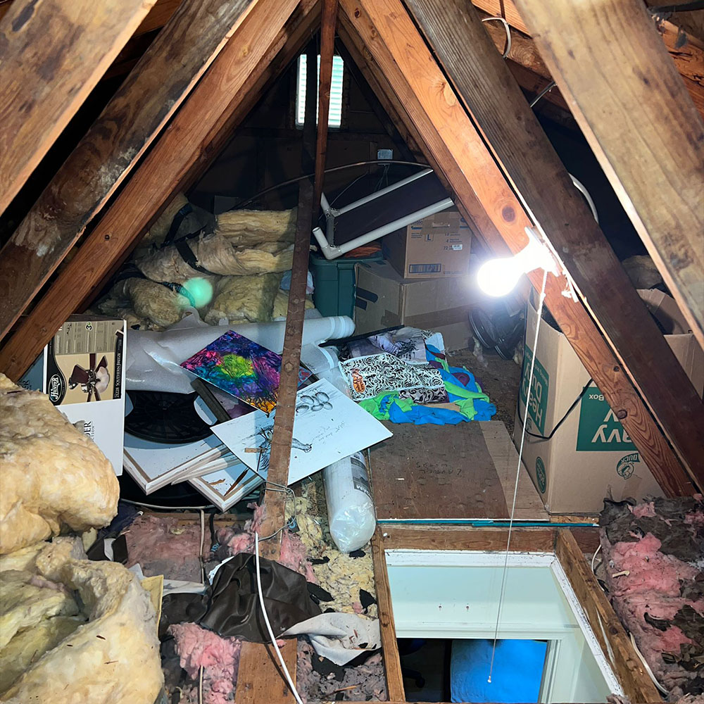 Junk Removal for Attic Cleanouts: How Buffalo Homes Can Benefit