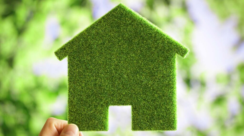 Eco-Friendly Home Renovation Tips Using Dumpster Rentals