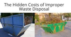 The Environmental Impact of Improper Junk Disposal in Tonawanda