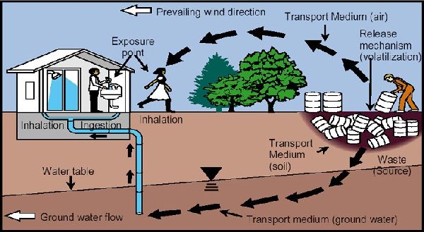 The Environmental Impact of Improper Junk Disposal in Tonawanda