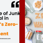 The Role of Junk Removal in Buffalo’s Zero-Waste Movement