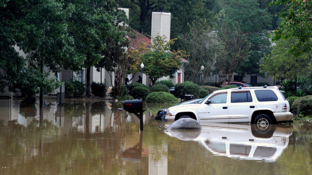 Post-Flood Clean-ups: Dumpster Rental Solutions for Buffalo Homes