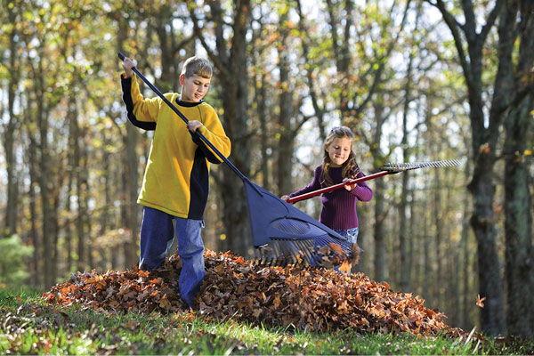 Preparing Your Yard for Fall: Junk Removal Tips for Tonawanda Residents