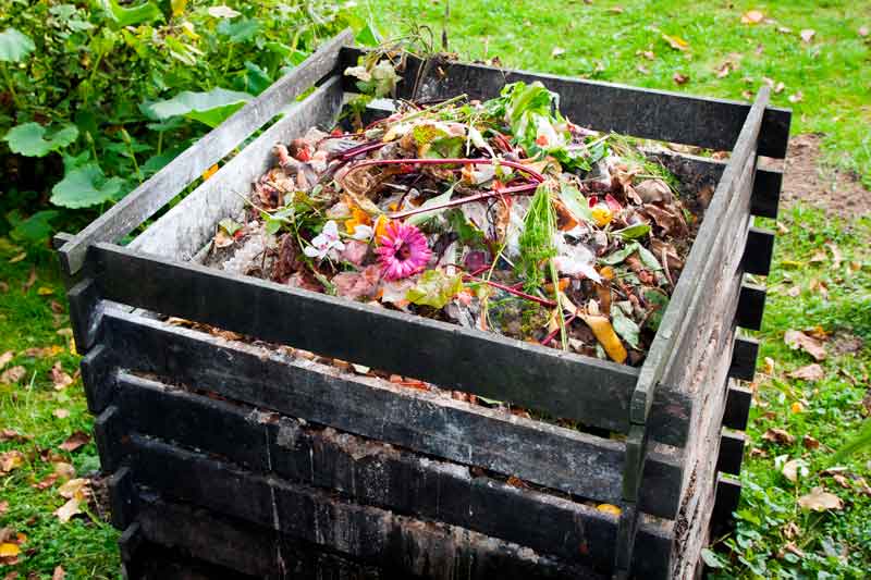 Seasonal Yard Waste Disposal: Junk Removal Tips for Buffalo Gardens