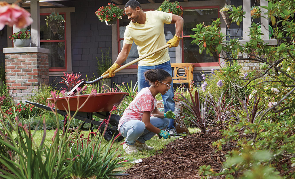 Seasonal Yard Waste Disposal: Junk Removal Tips for Buffalo Gardens