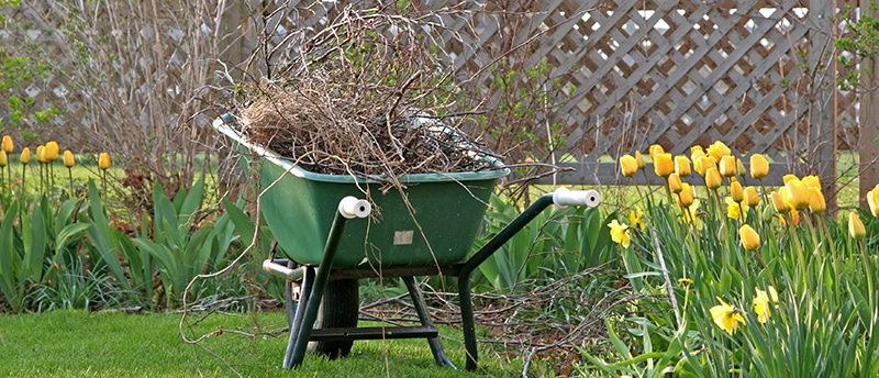 Seasonal Yard Waste Disposal: Junk Removal Tips for Buffalo Gardens