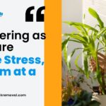 Decluttering as Self-Care: Reduce Stress, One Item at a Time