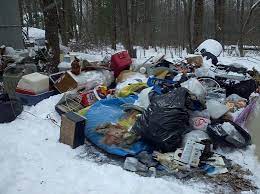 Best Time for Junk Removal in Buffalo After Winter