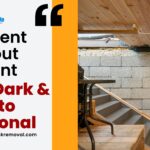 Basement Cleanout Blueprint: From Dark & Dusty to Functional