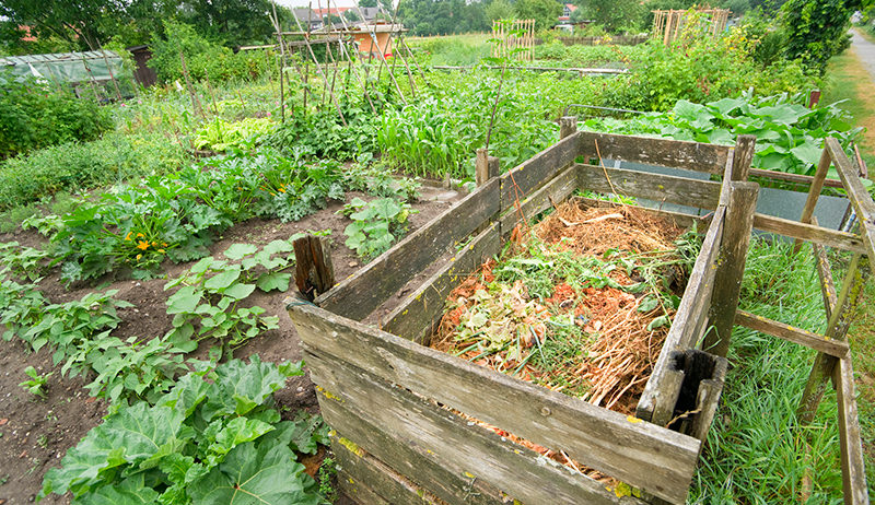 Fall Yard Clean-up? Don’t Forget the Junk You Can’t Compost