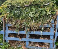 What Items Can Be Recycled in Buffalo, NY?