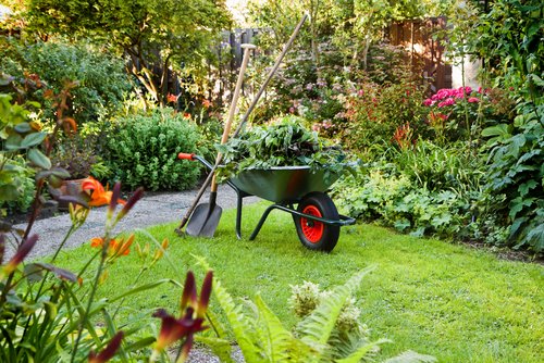 Dumpster Rentals for Landscaping Projects: Do You Really Need One?