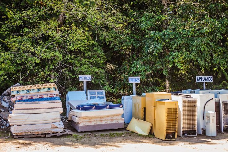 Junk Removal vs Dumpster Rental: Which One's Right for Your Project?