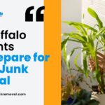 How Buffalo Residents Can Prepare for Spring Junk Removal