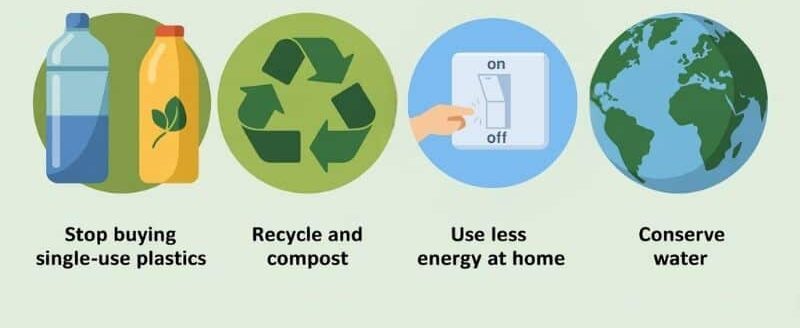 Cleanout Guide for Buffalo Homes